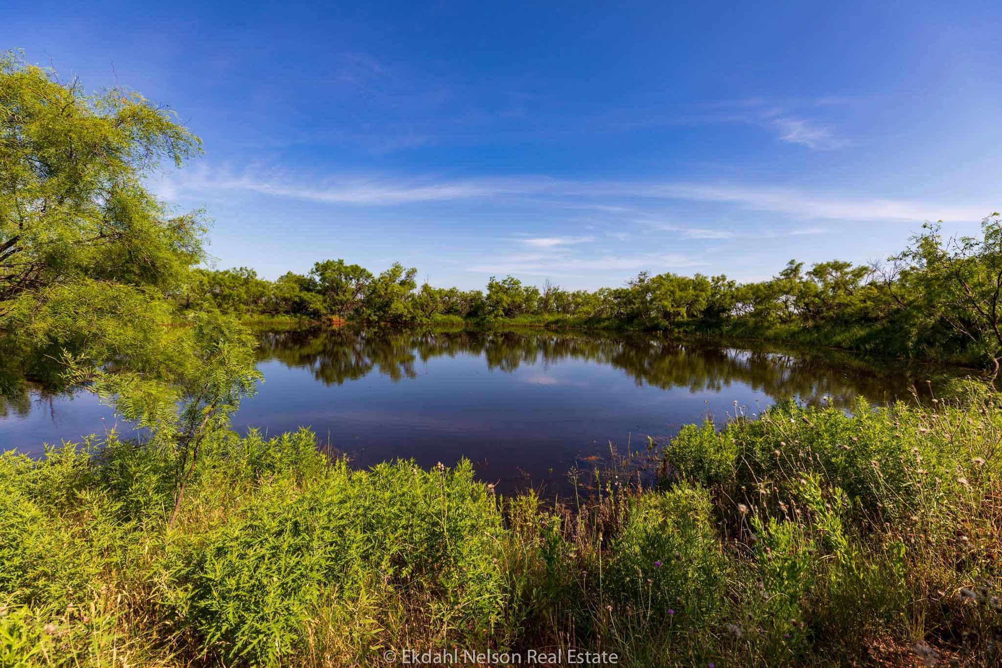 Sylvester, Fisher County, TX Farms and Ranches, Recreational Property