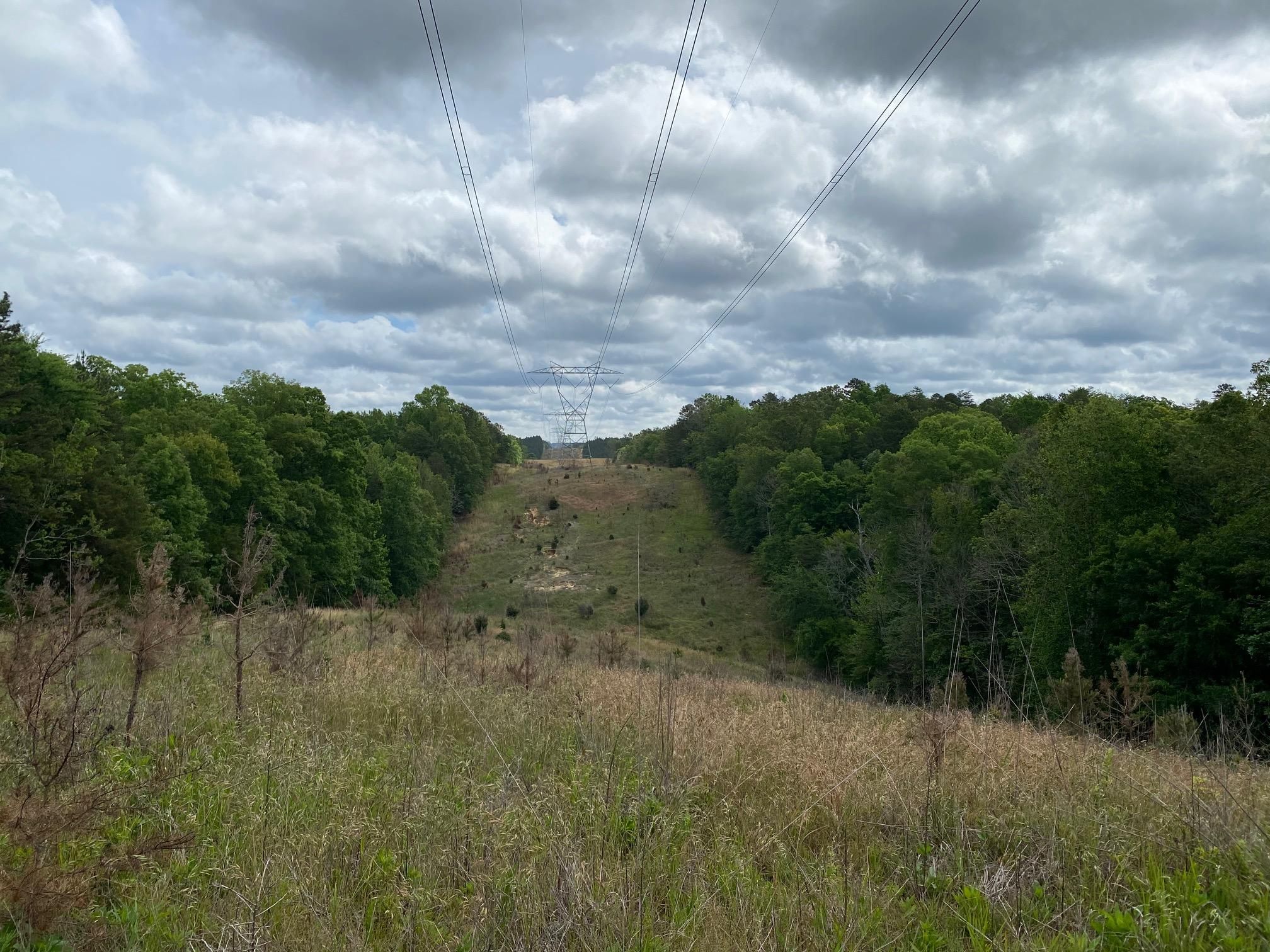 Sharon, York County, SC Recreational Property, Timberland Property