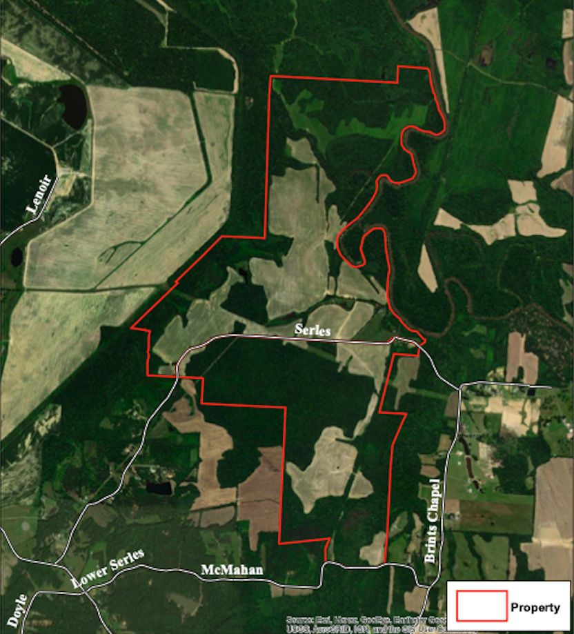 Hornsby, Hardeman County, TN Farms and Ranches, Timberland Property