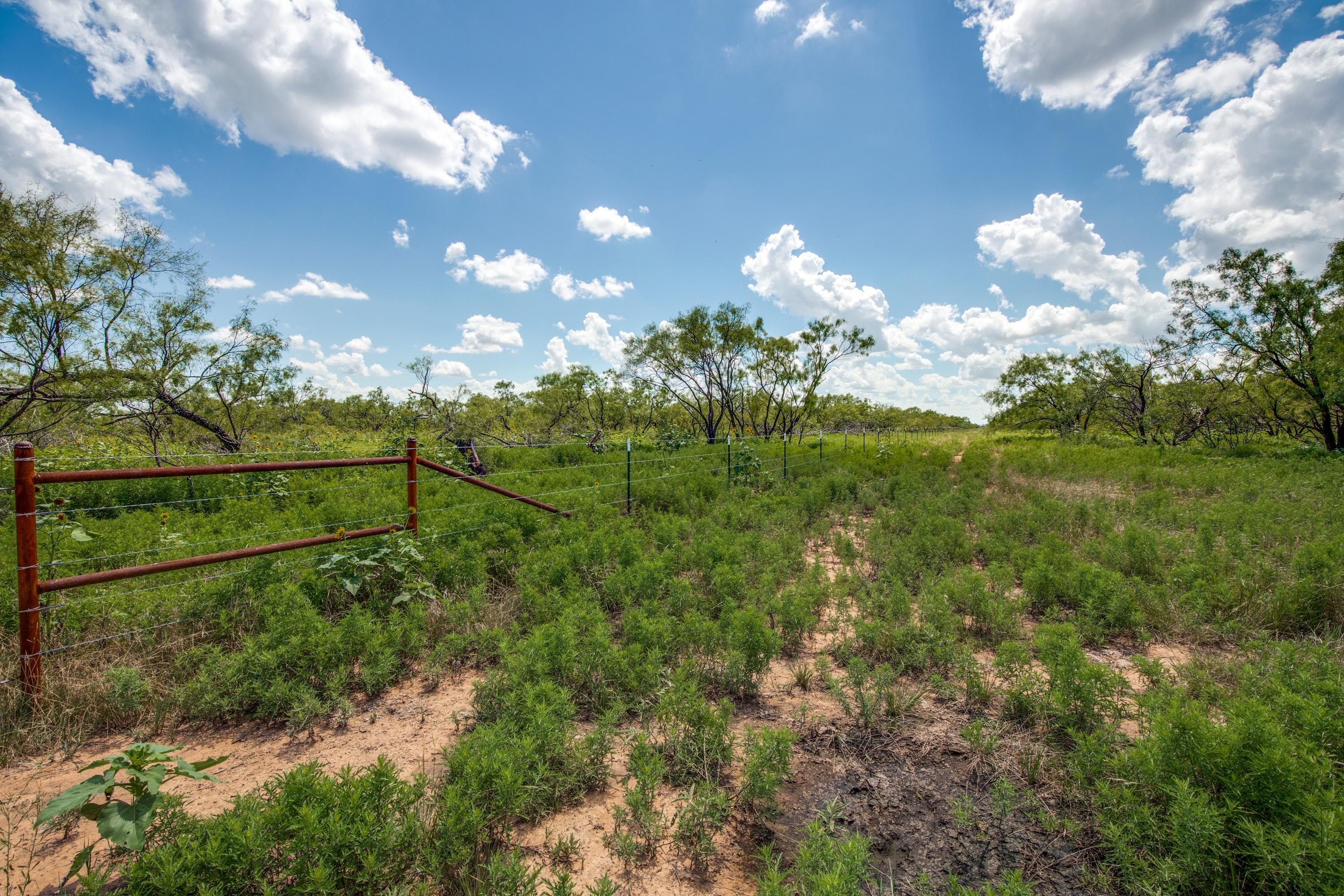 Murray, Young County, TX Farms and Ranches, Recreational Property