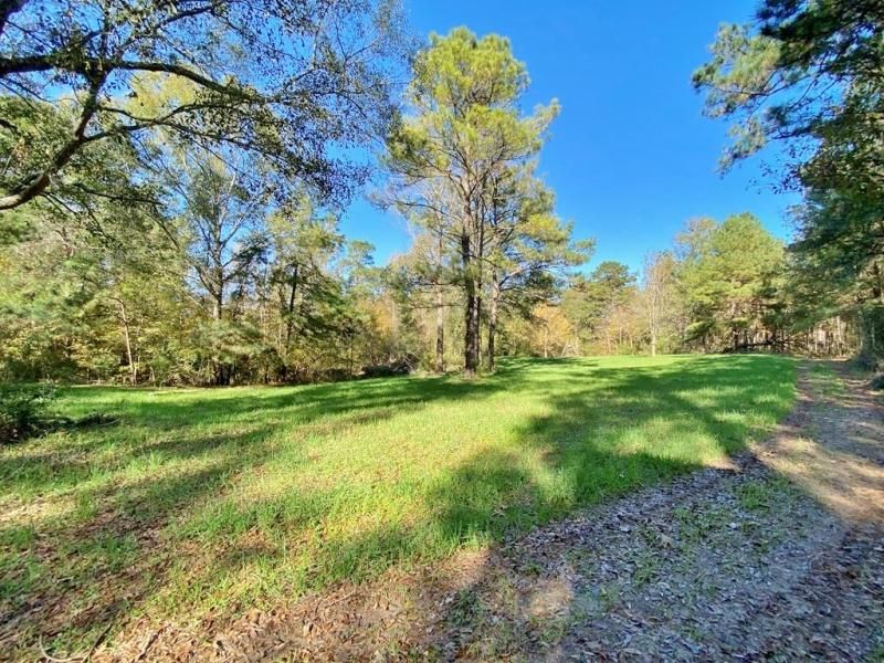 Woodville, Wilkinson County, MS Recreational Property, Timberland