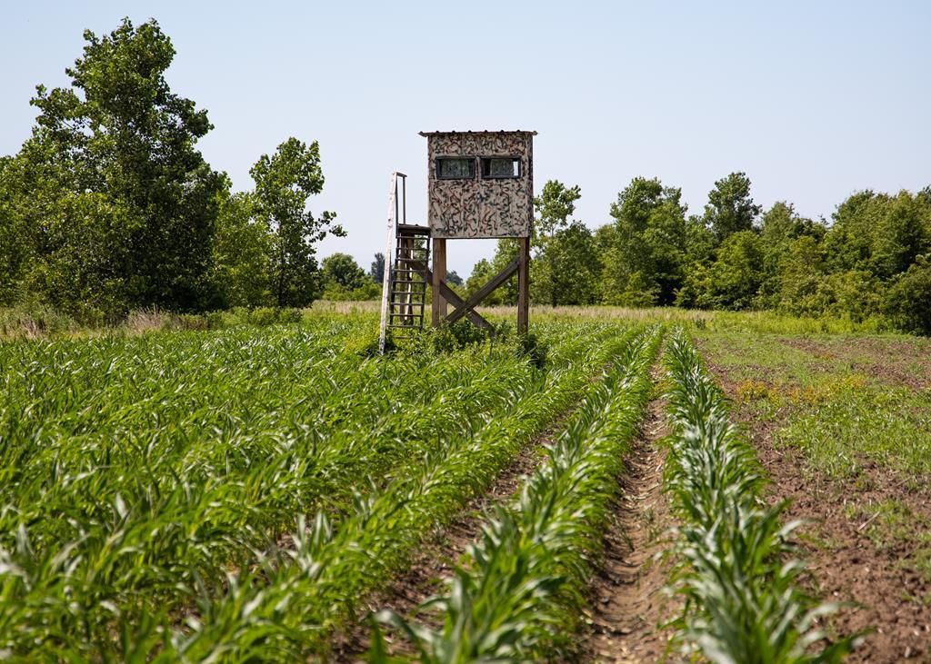 Lilbourn, New Madrid County, MO Recreational Property, Hunting Property