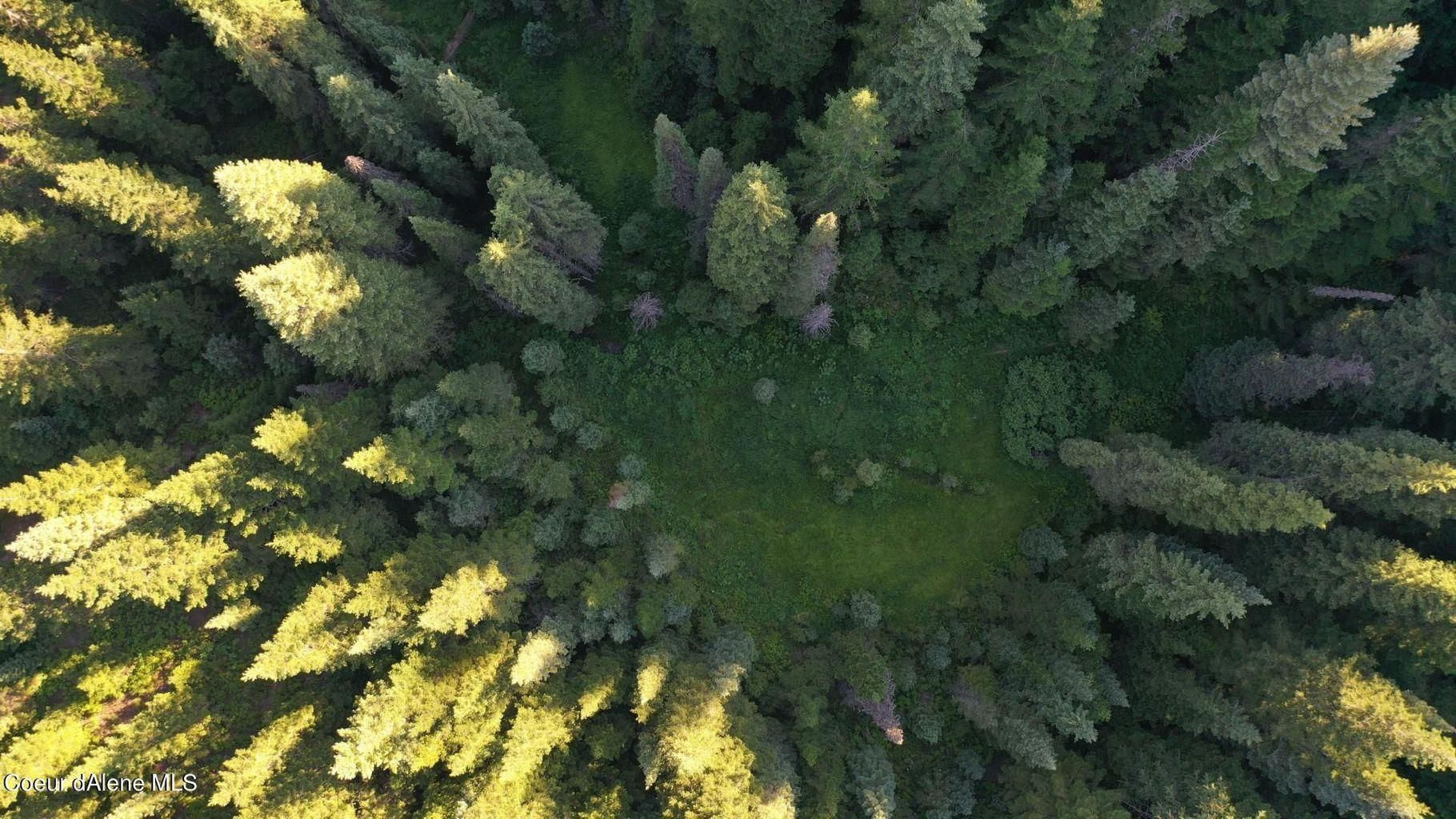 Elk River, Clearwater County, ID Recreational Property, Undeveloped