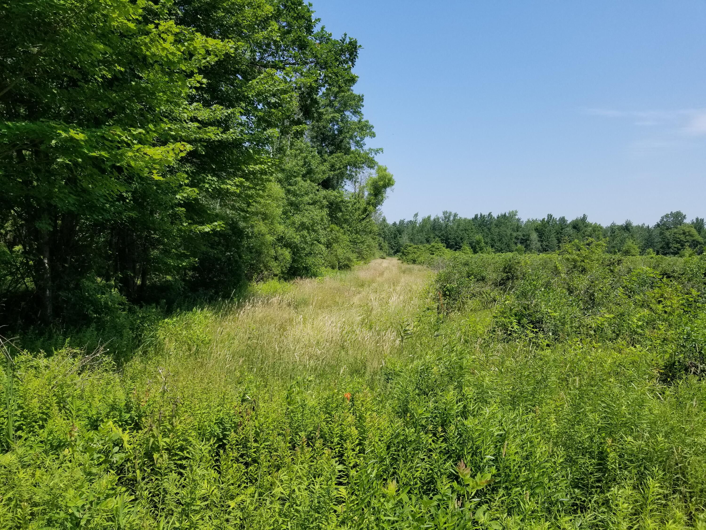 Covert, Van Buren County, MI Undeveloped Land for sale Property ID