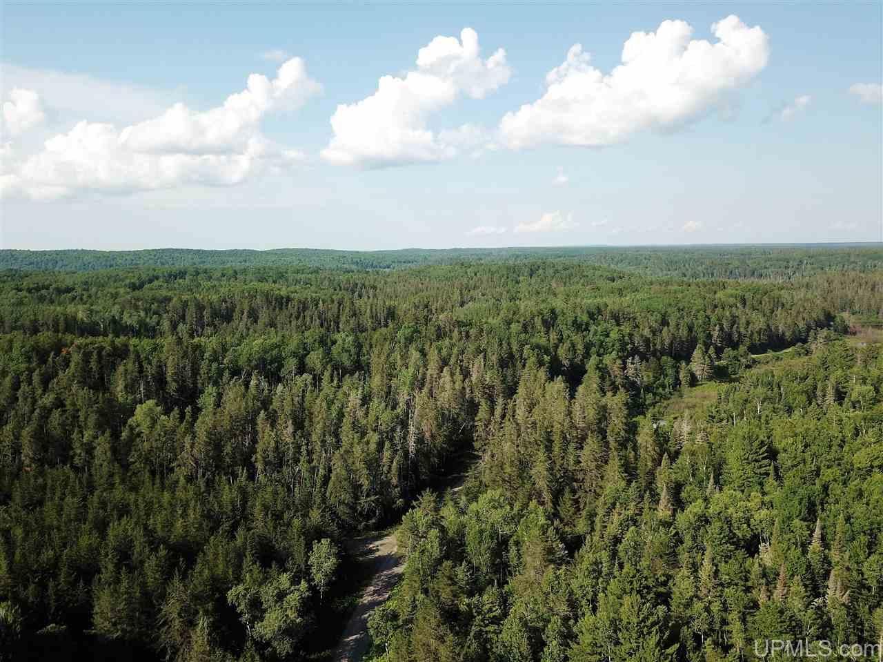 Kenton, Houghton County, MI Undeveloped Land for sale Property ID