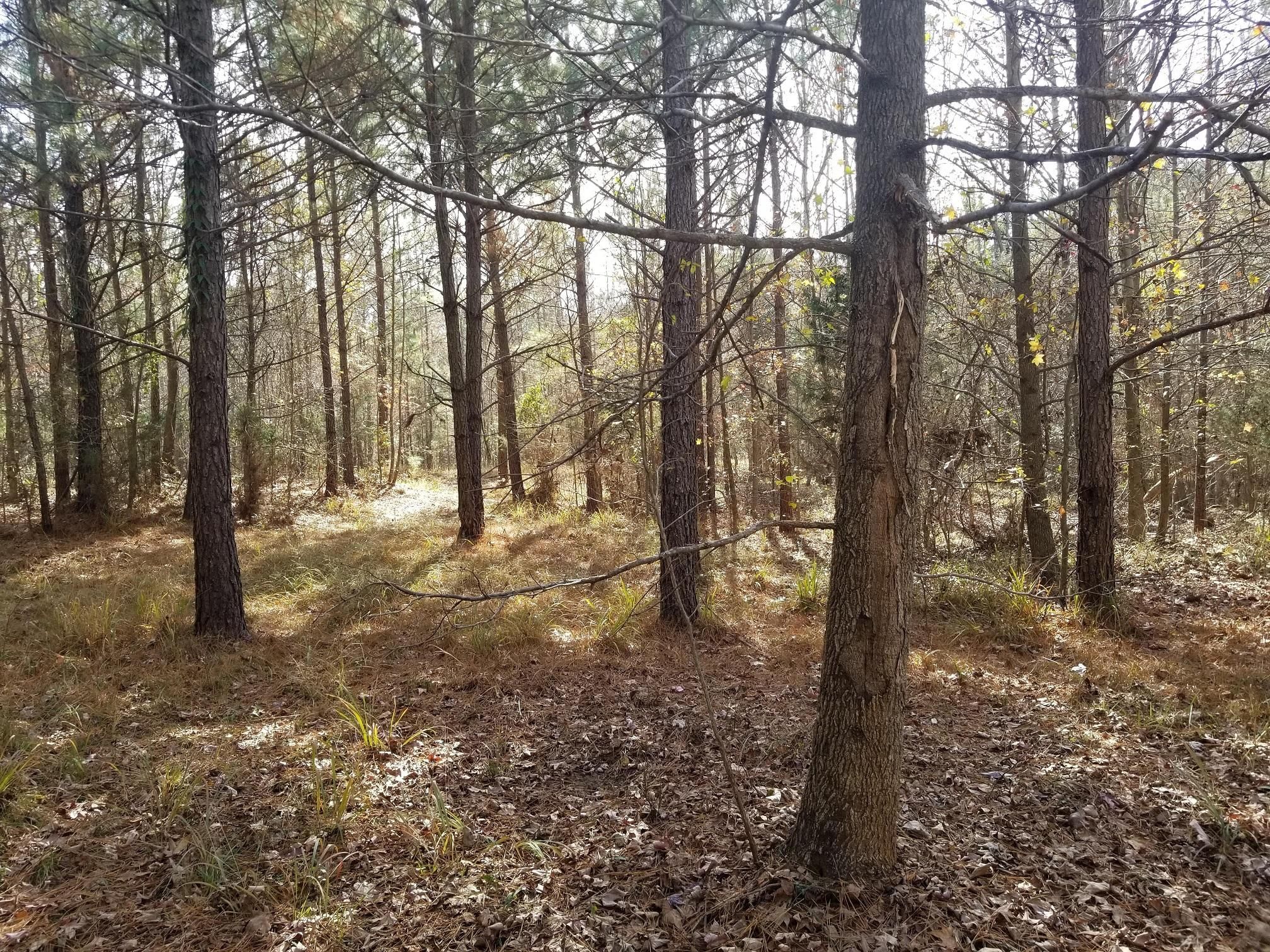 6551 Whitmire Highway, Whitmire, SC 29178 LandWatch