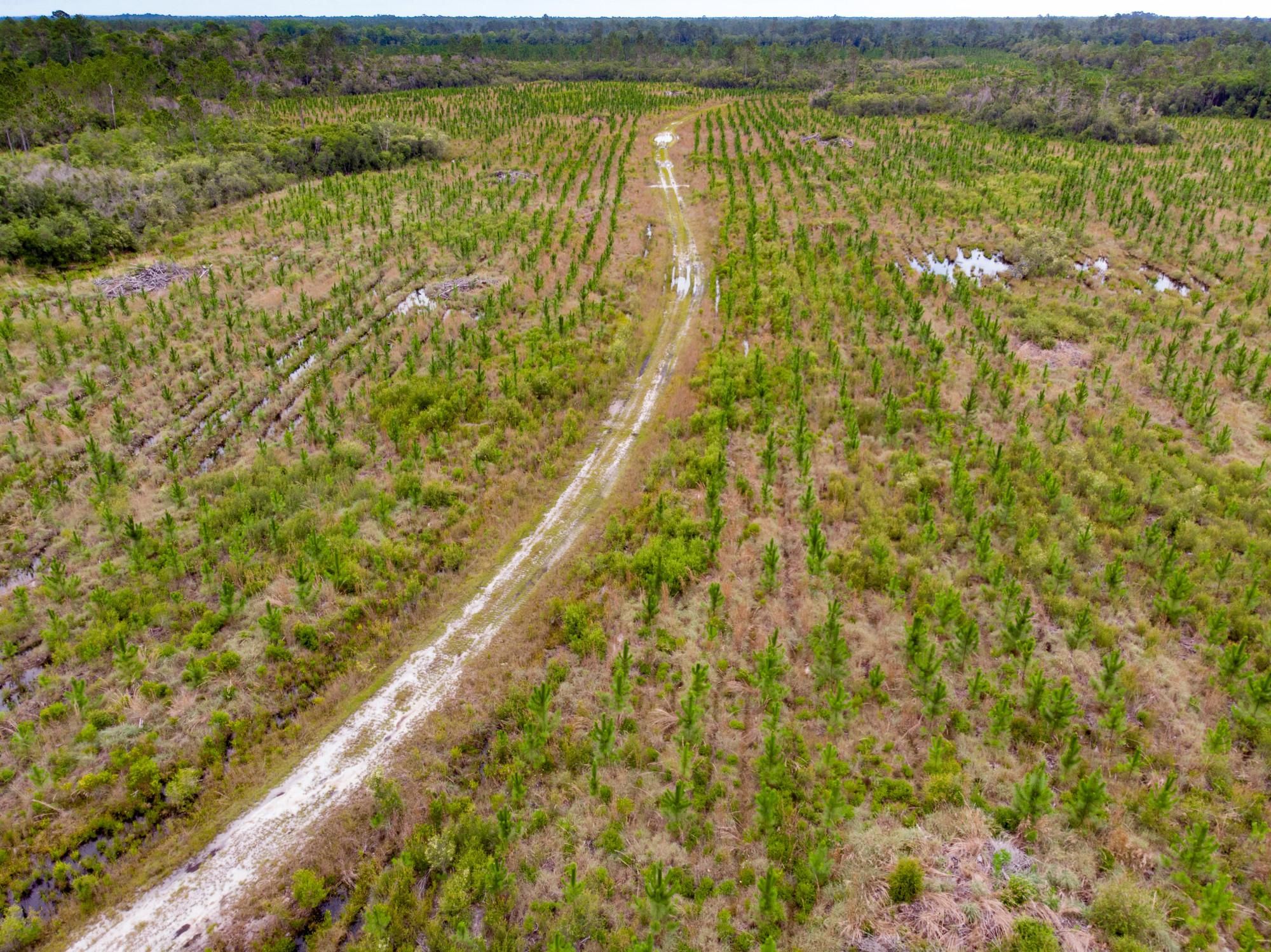County Road 67, Telogia, FL 32360 LandWatch