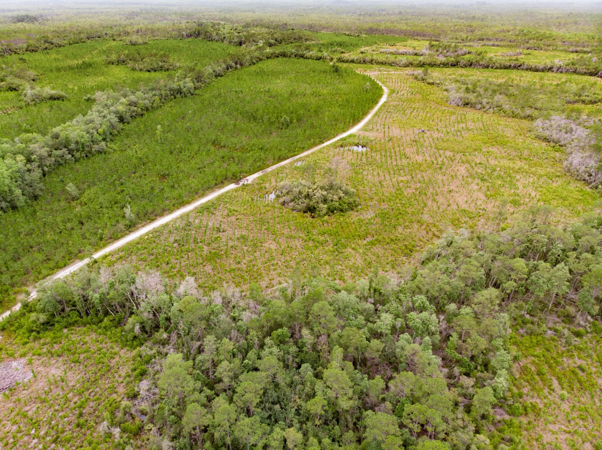 Telogia, Liberty County, FL Recreational Property, Timberland Property