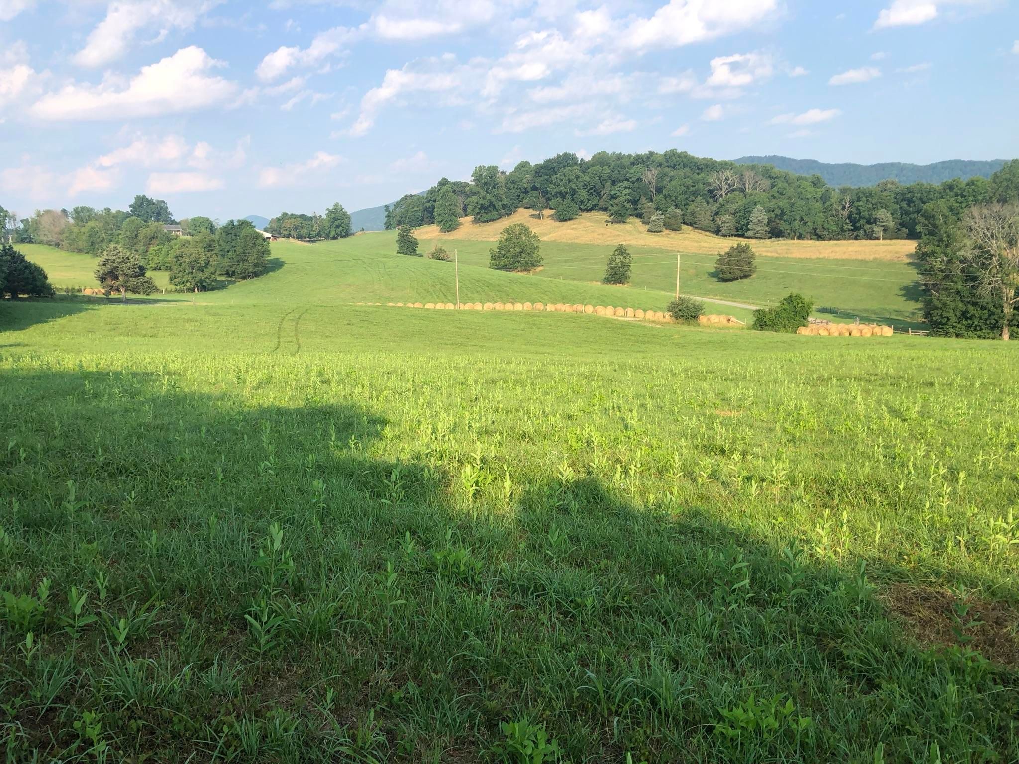 Fincastle, Botetourt County, VA Undeveloped Land, Homesites for sale