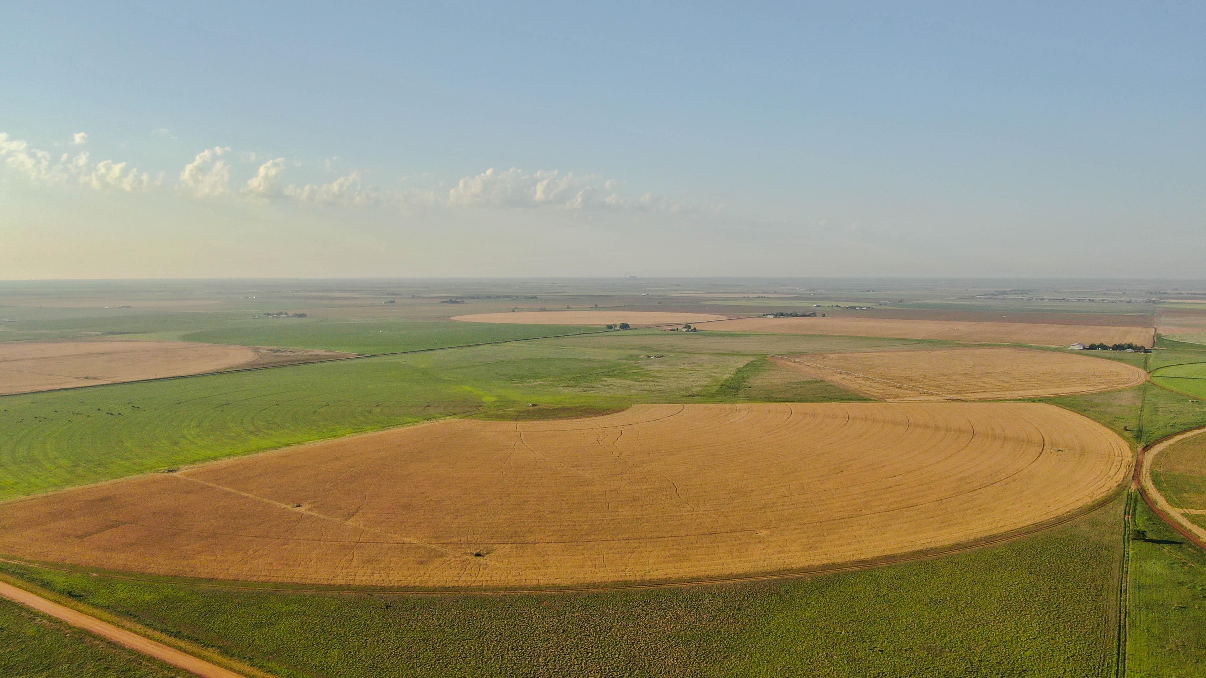 Muleshoe, Bailey County, TX Farms and Ranches for sale Property ID 410878054 LandWatch