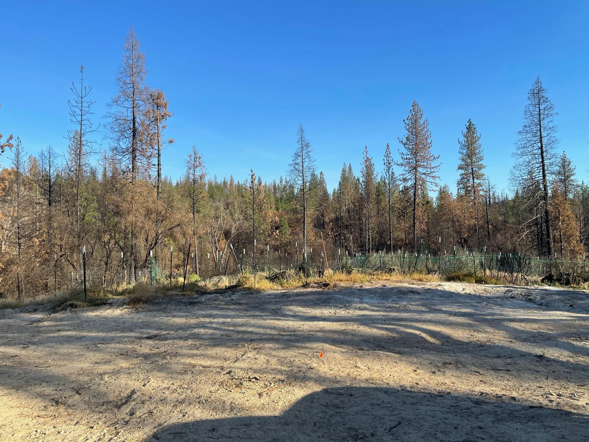 Oroville, Butte County, CA Farms and Ranches, Undeveloped Land