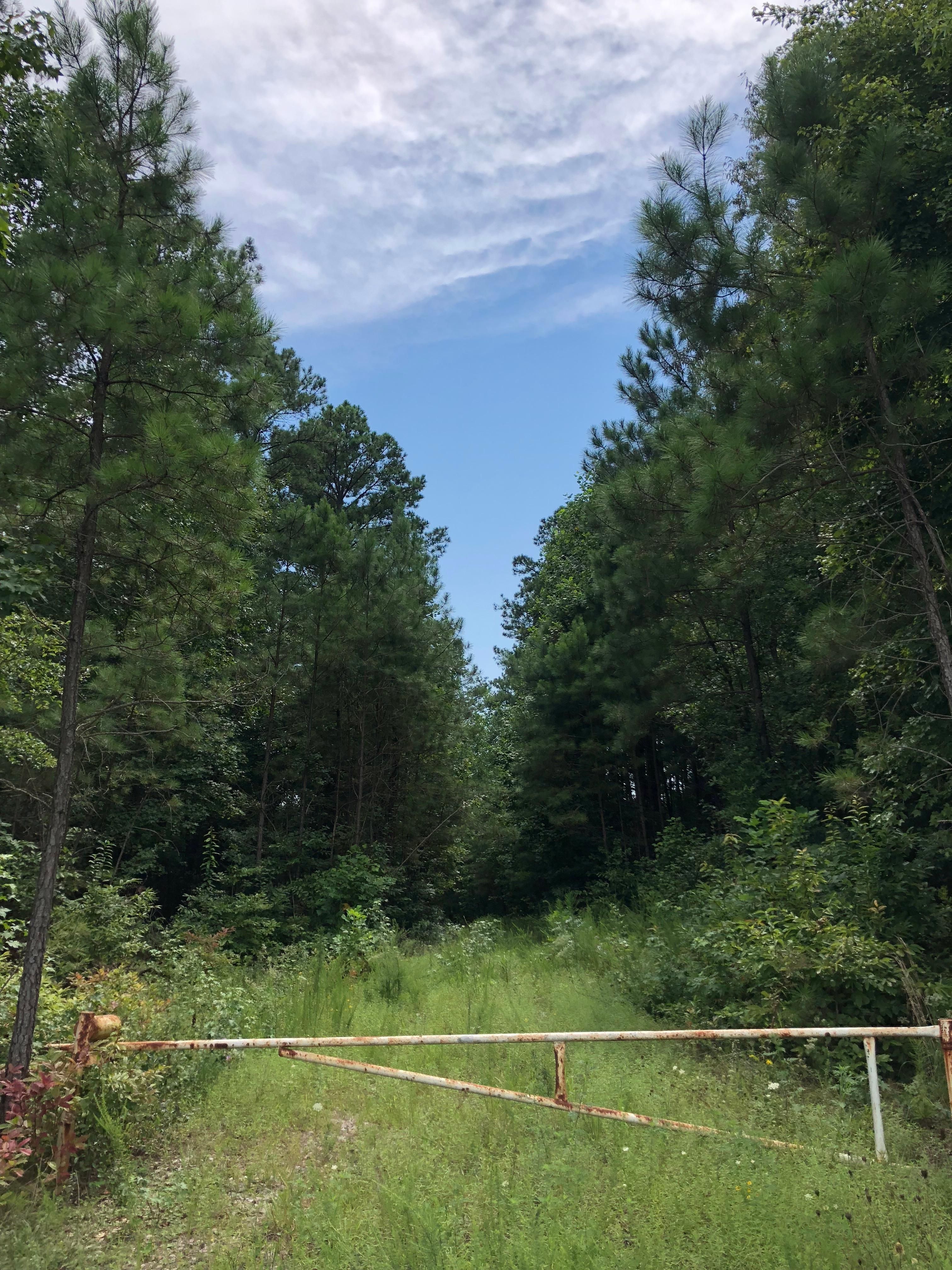 Disputanta, Prince County, VA Recreational Property, Timberland