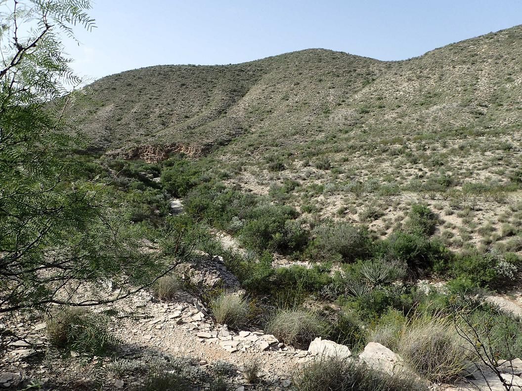 Dryden, Terrell County, TX Farms and Ranches, Recreational Property