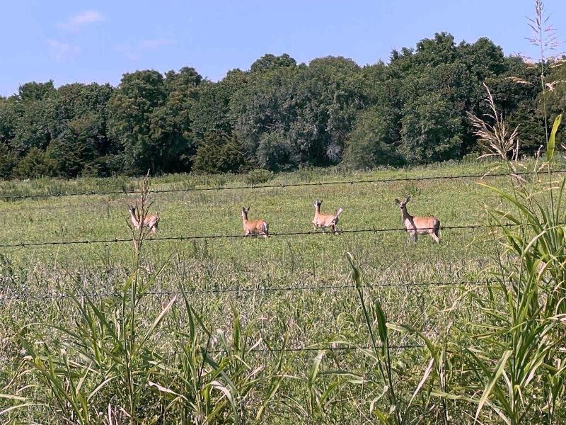 265918 E County Rd 49, Ringwood, OK 73768 MLS 11008354 LandWatch