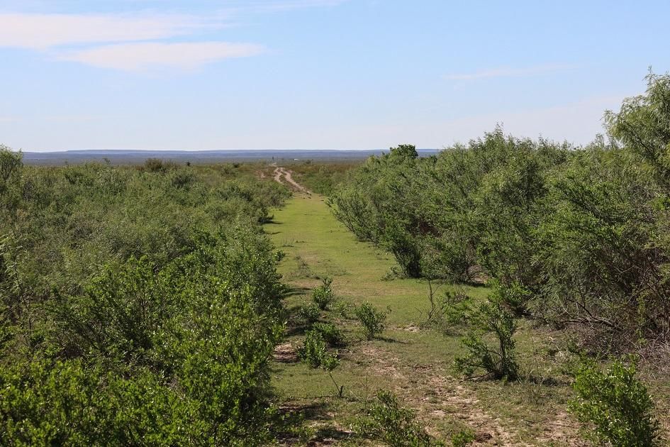 Dryden, Terrell County, TX Farms and Ranches, Recreational Property