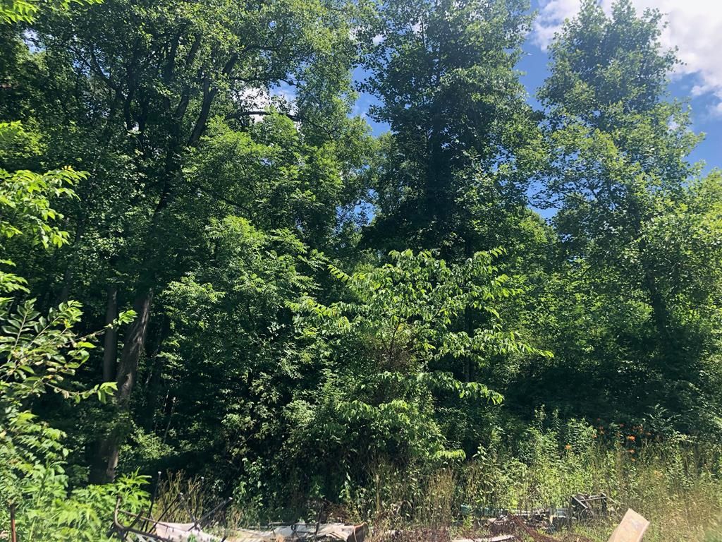 Wheelwright, Floyd County, KY Undeveloped Land for sale Property ID 410943629 LandWatch