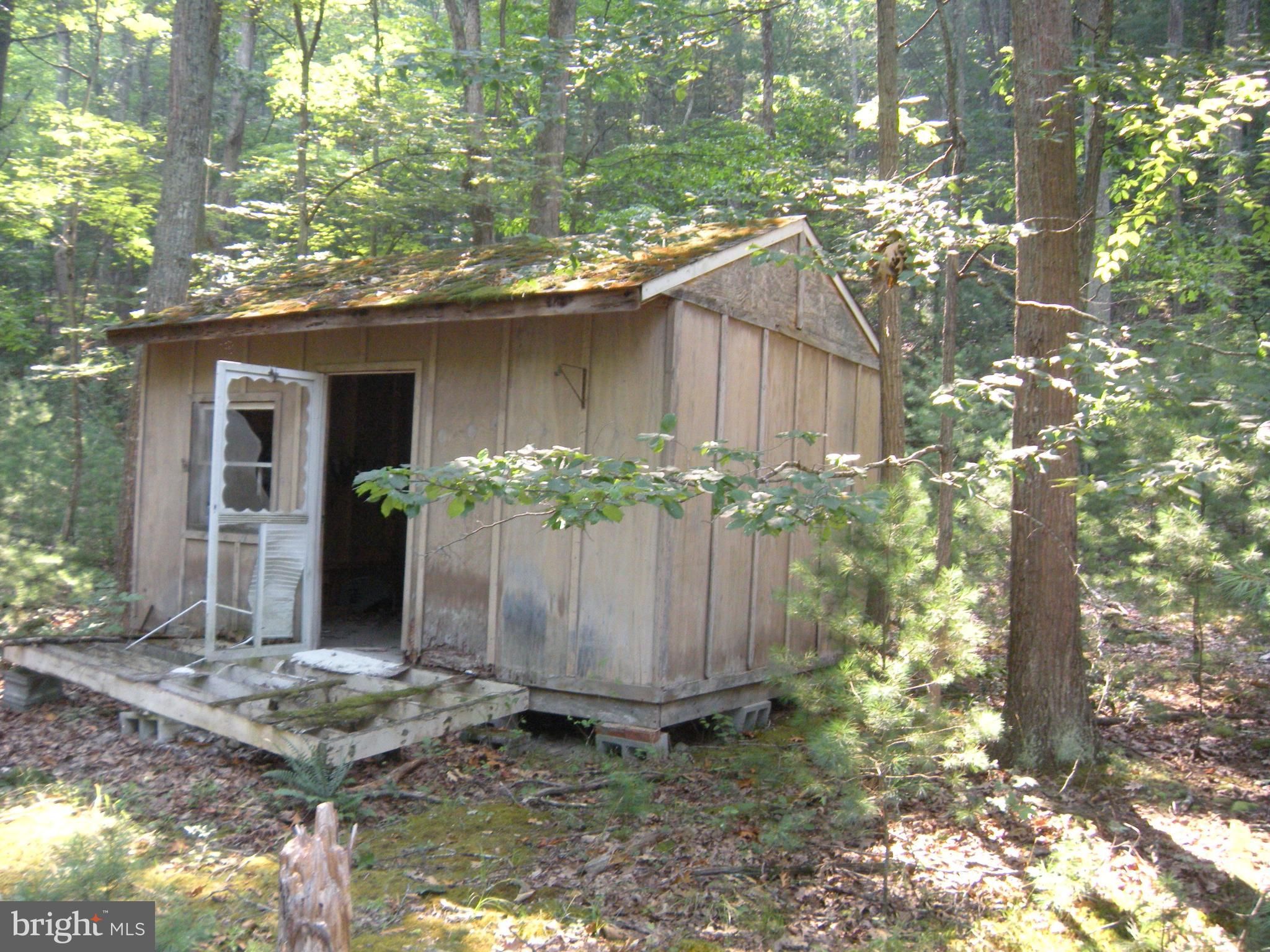 Capon Bridge, Hampshire County, WV Undeveloped Land, Homesites for sale