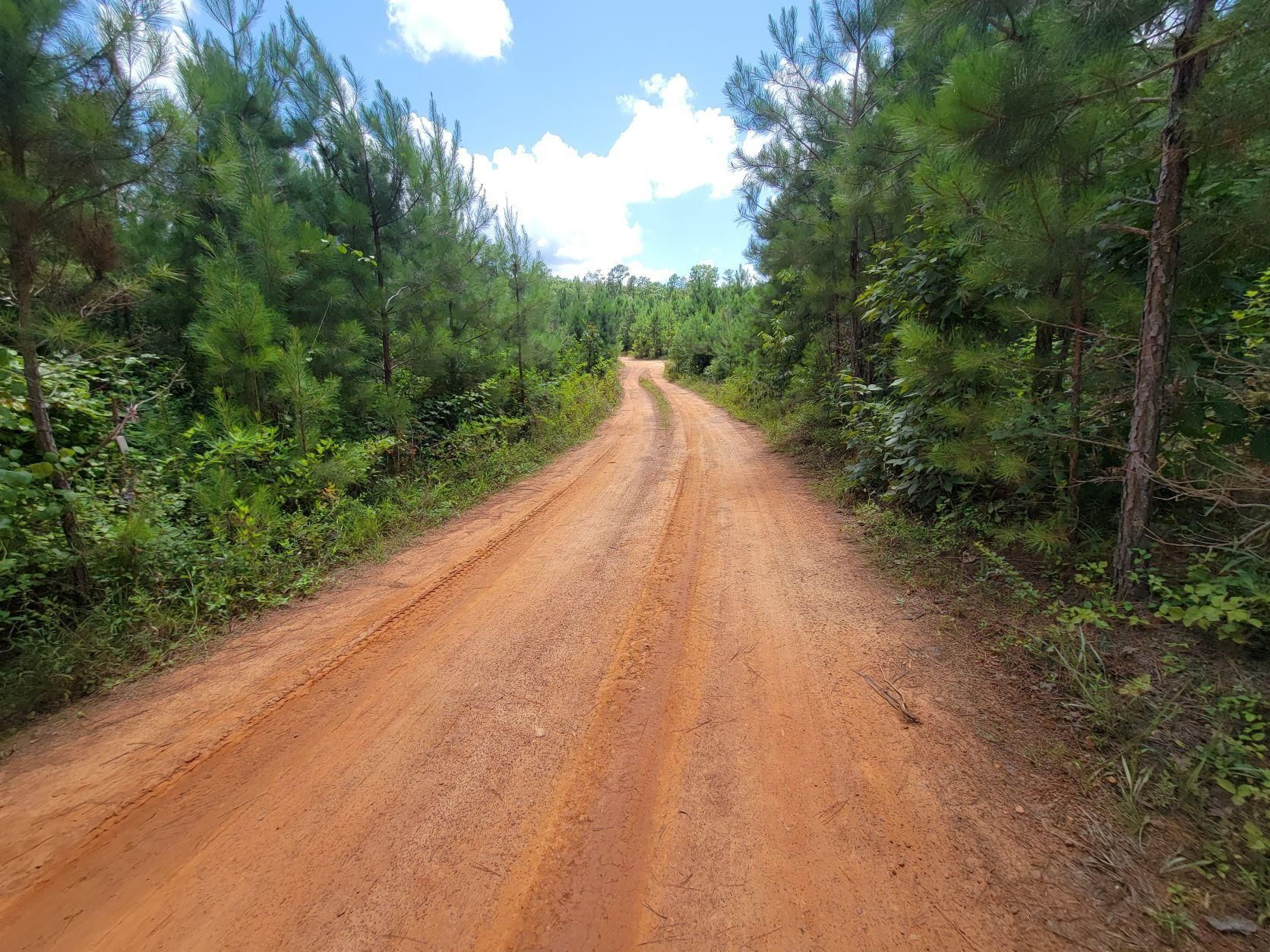 Ashland, Clay County, AL Recreational Property, Timberland Property