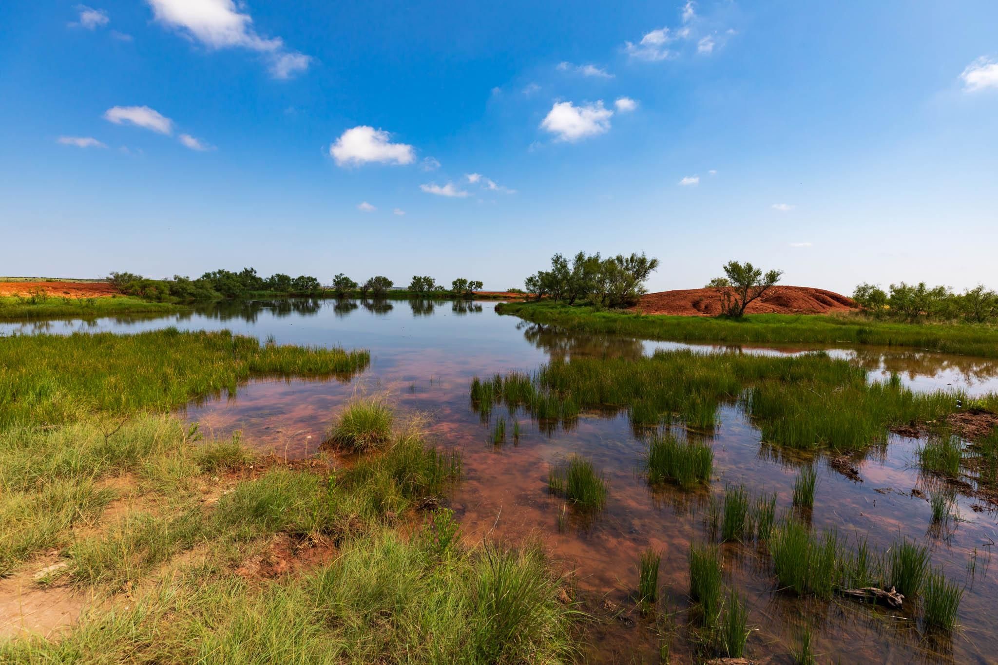 Hamlin, Fisher County, TX Farms and Ranches, Recreational Property, Hunting Property for sale