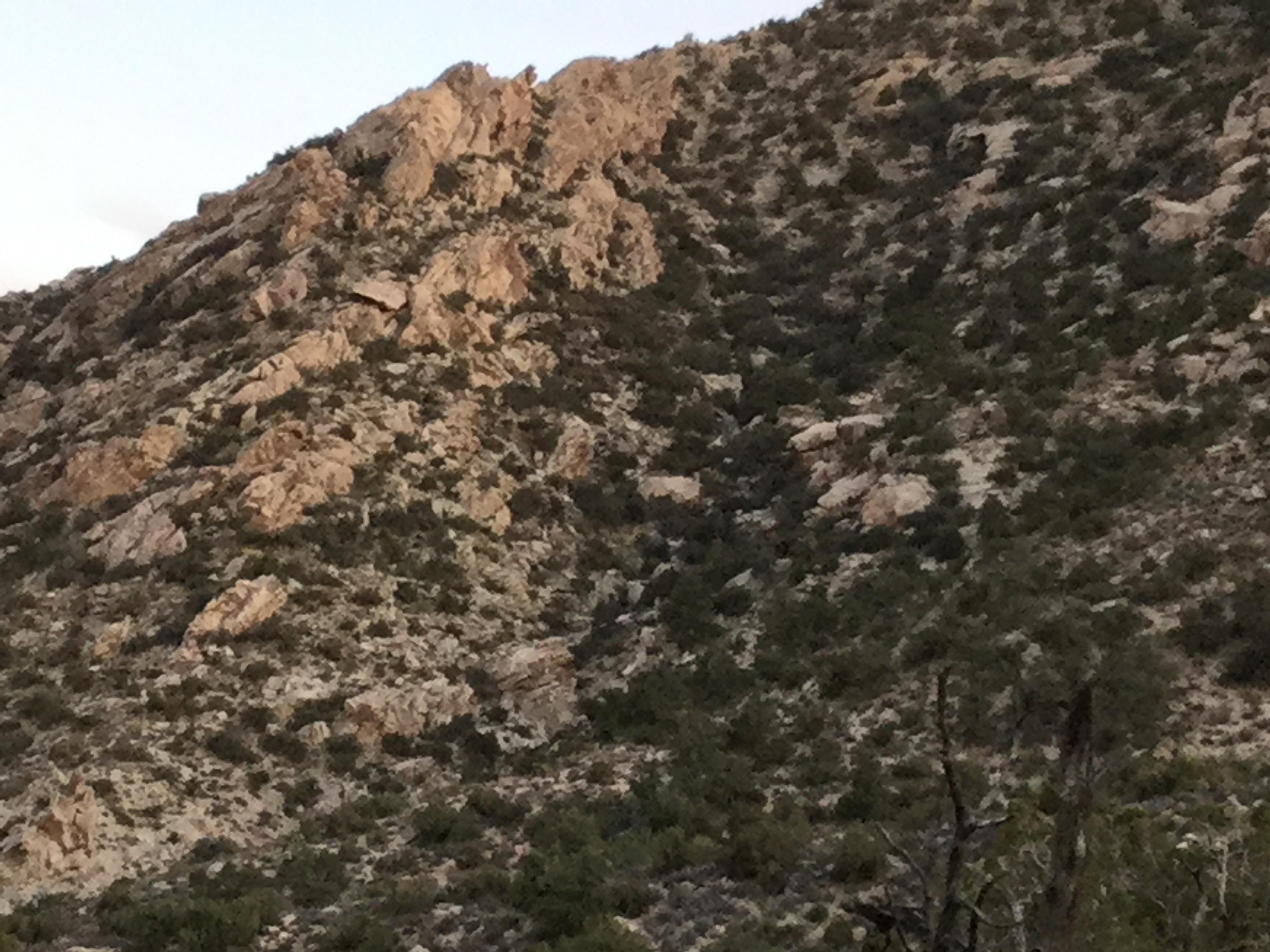 Christmas Tree Pass Road, CalNevAri, NV 89039 MLS Exclusive LandWatch