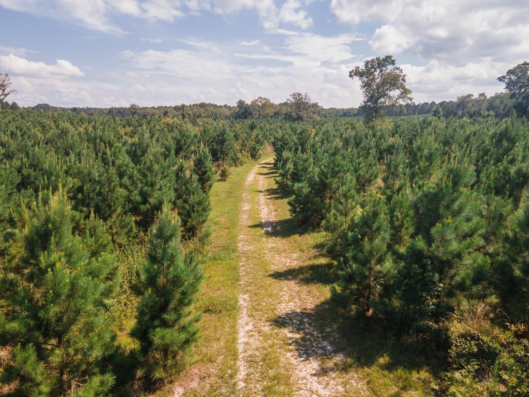 Sylvania, Screven County, GA Recreational Property, Timberland Property for sale Property ID