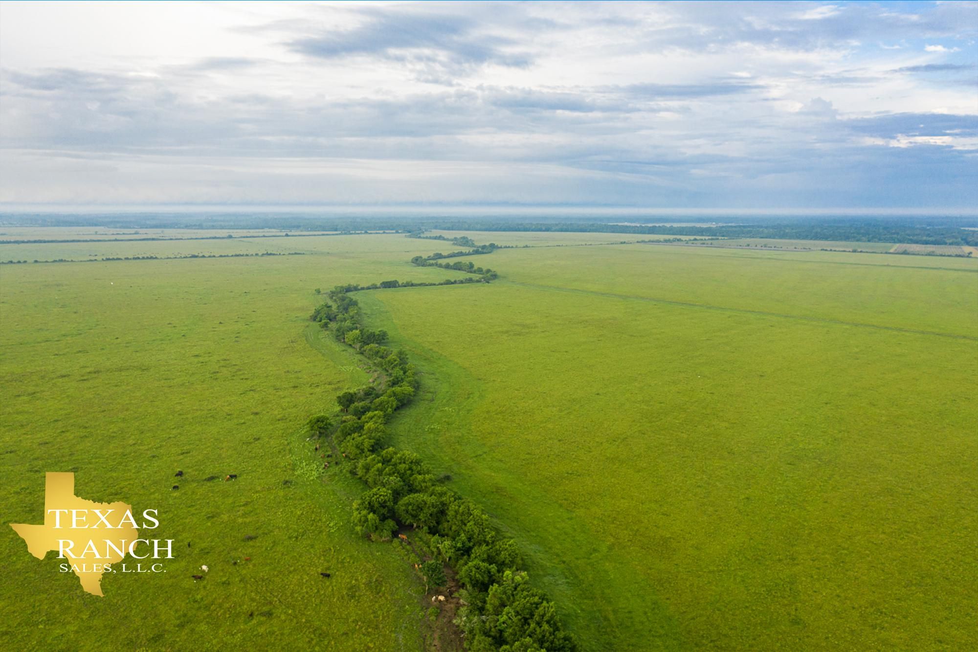 Devers, Liberty County, TX Farms and Ranches, Hunting Property, House
