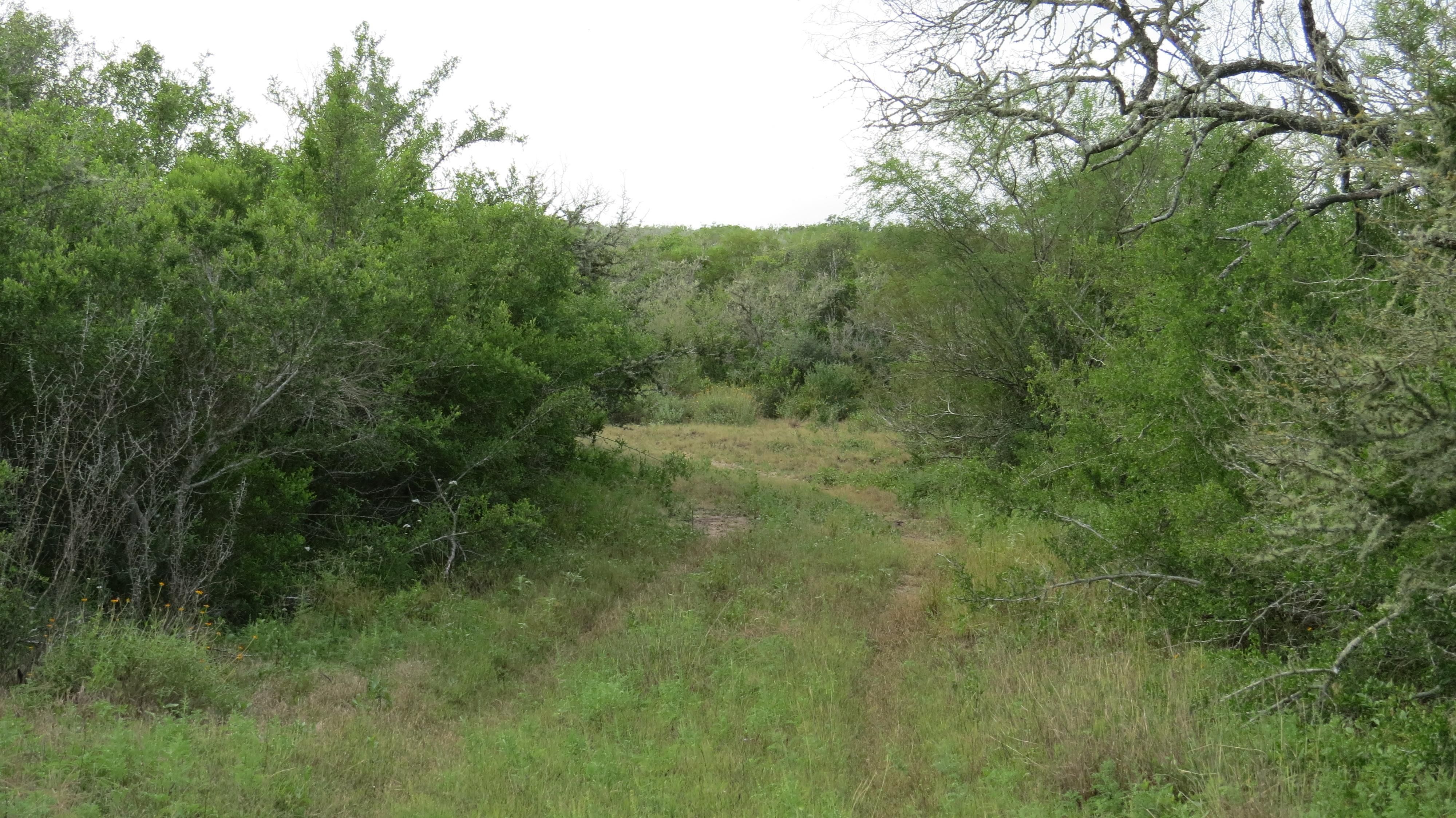 San Diego, Duval County, TX Recreational Property, Hunting Property for