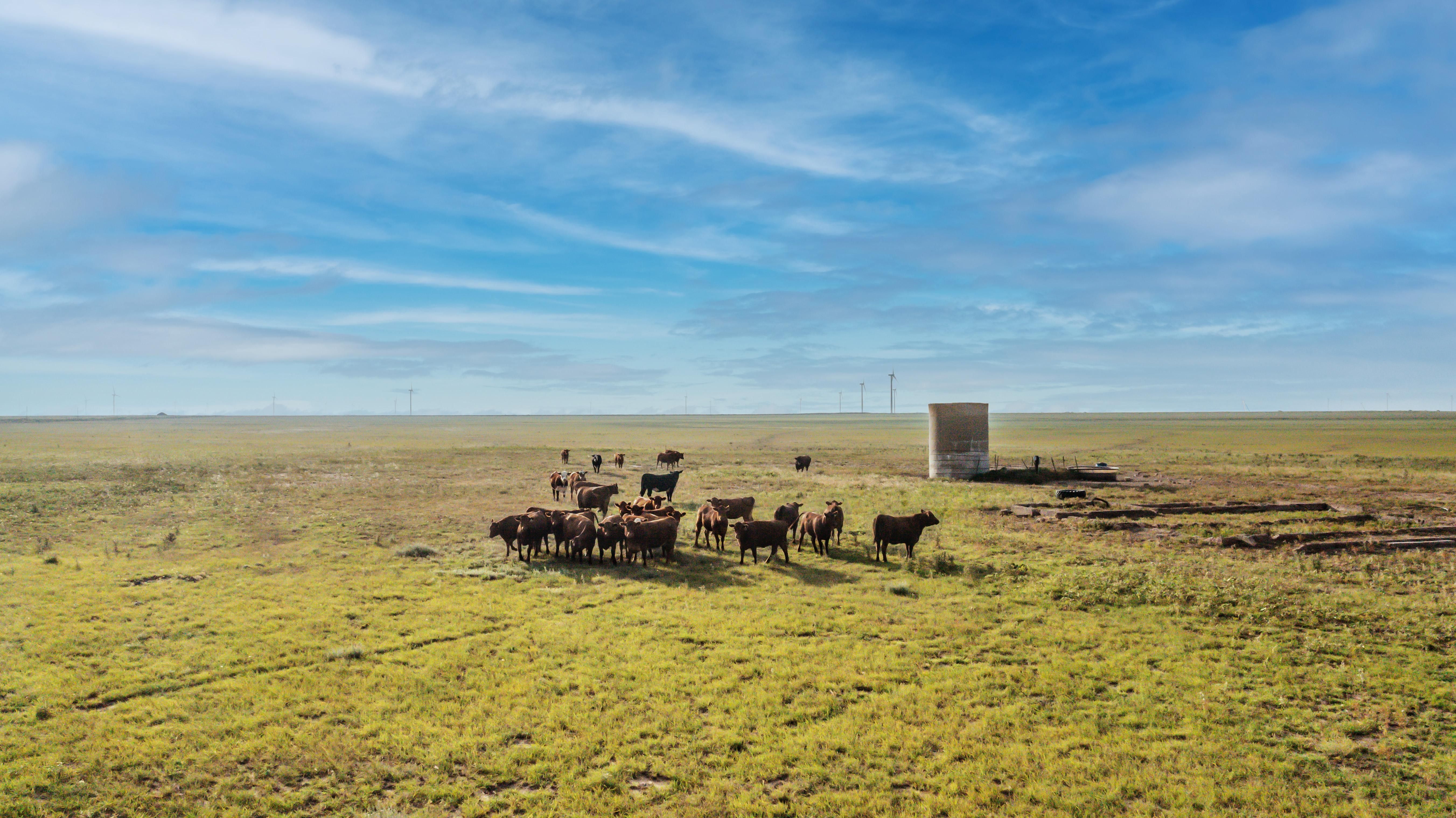 Floydada, Floyd County, TX Farms and Ranches, Recreational Property for