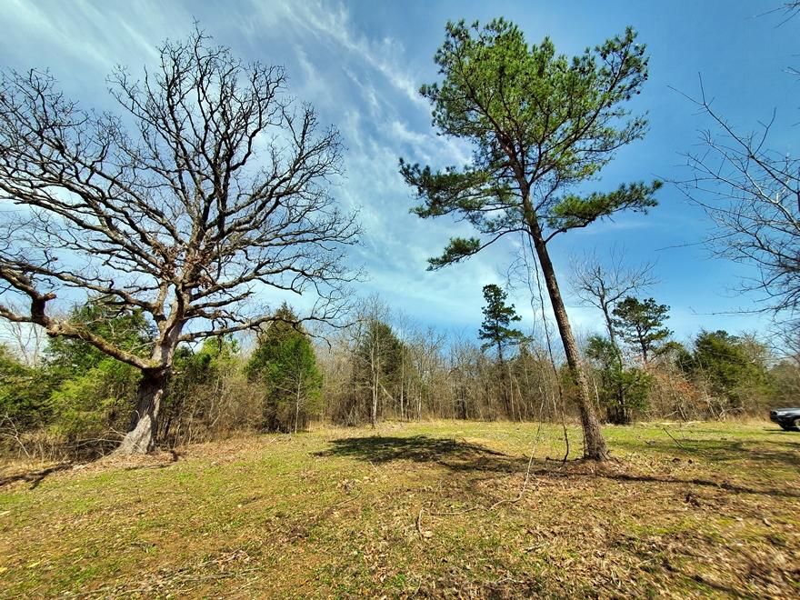 Rattan, Pushmataha County, OK Recreational Property, Timberland
