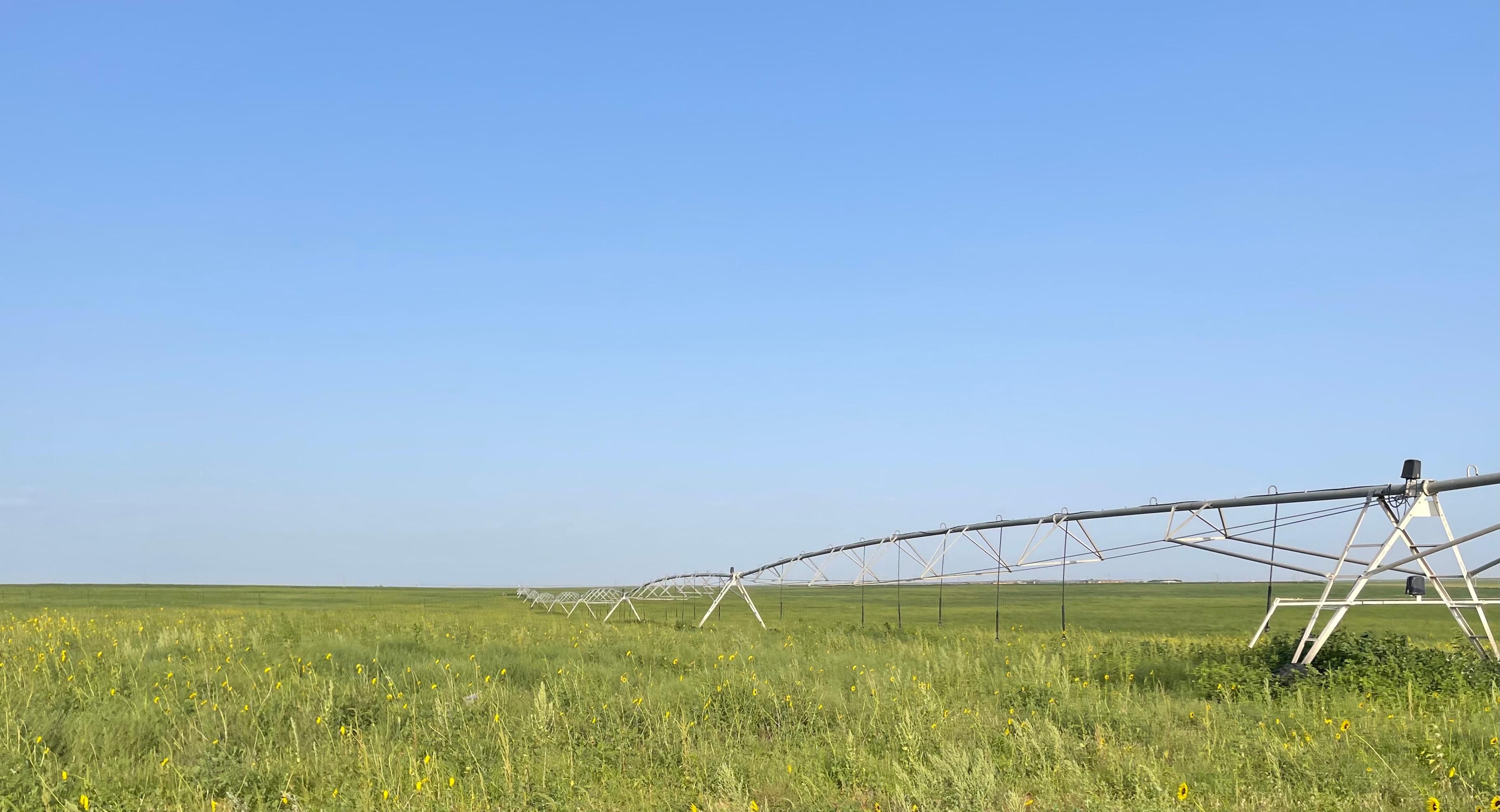 Amherst, Lamb County, TX Farms and Ranches, Hunting Property for sale Property ID 411021480