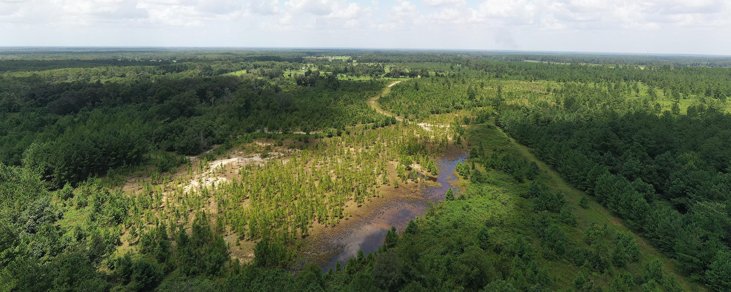 Orange Heights, Alachua County, FL Recreational Property, Timberland