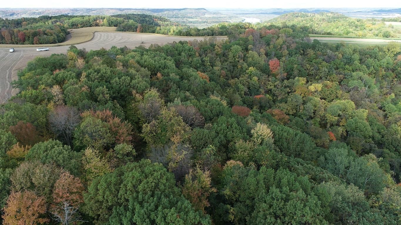 Pepin, Pepin County, WI Recreational Property, Undeveloped Land