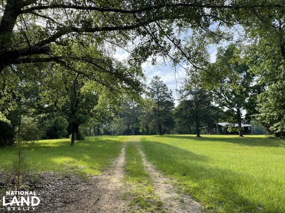 Ralph, Tuscaloosa County, AL Recreational Property, Timberland Property, Hunting Property, House