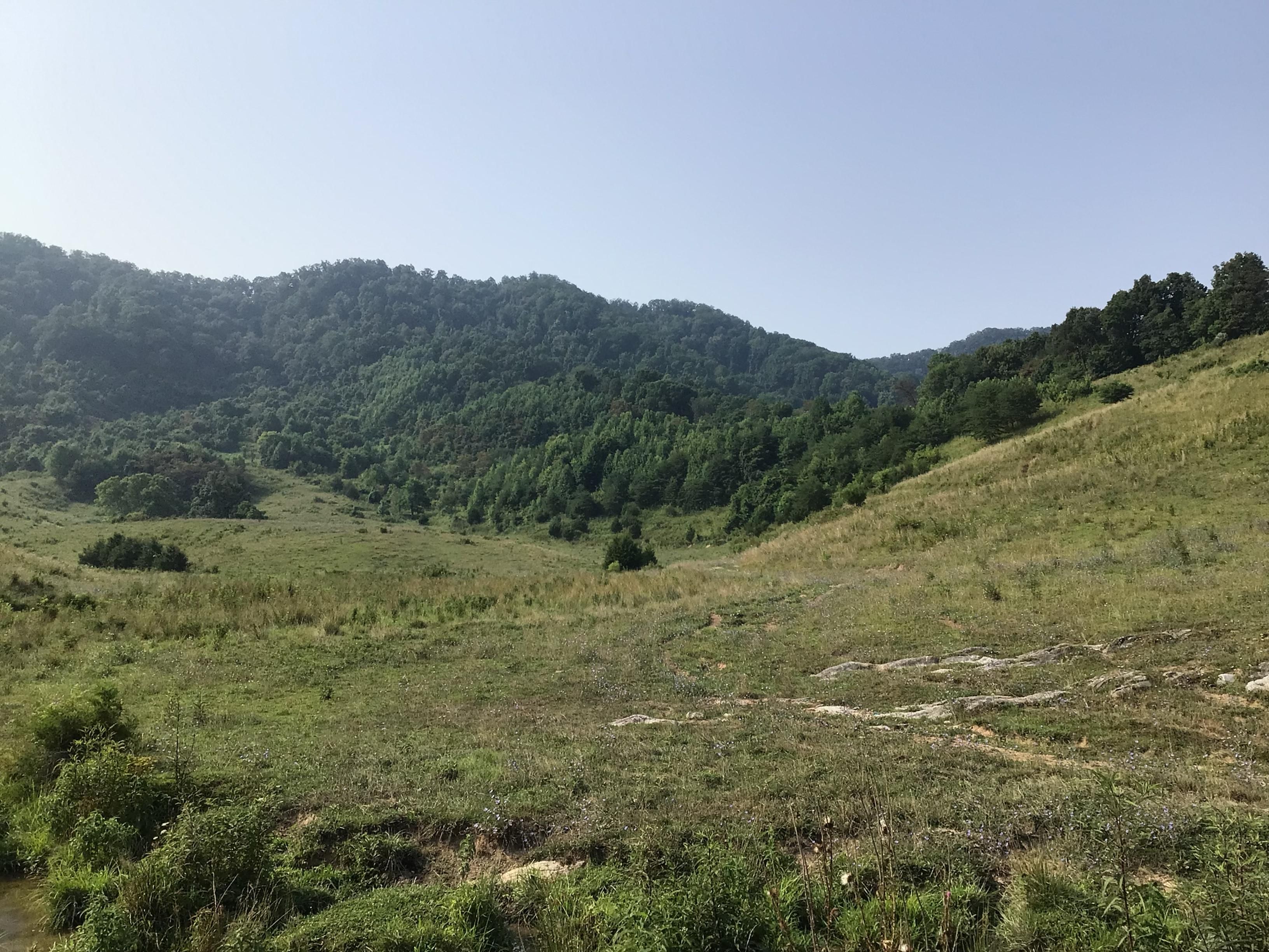 1850 Mountain Valley Hwy 131, Thorn Hill, TN 37881 LandWatch