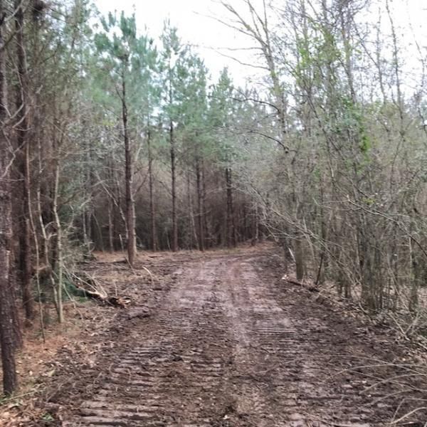 Tylertown, Walthall County, MS Timberland Property, Hunting Property