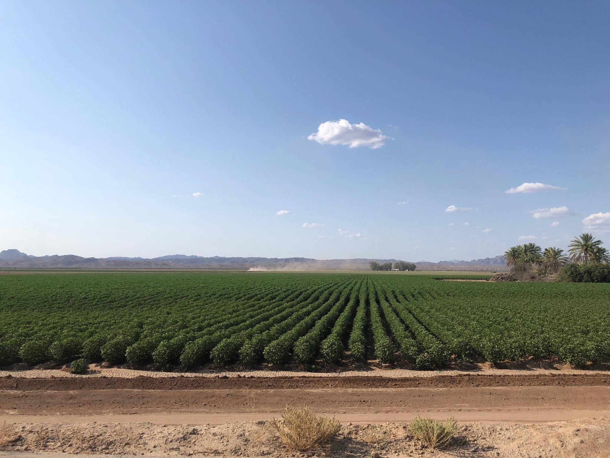 AVE 27E and HWY 80, Wellton, AZ 85356 LandWatch