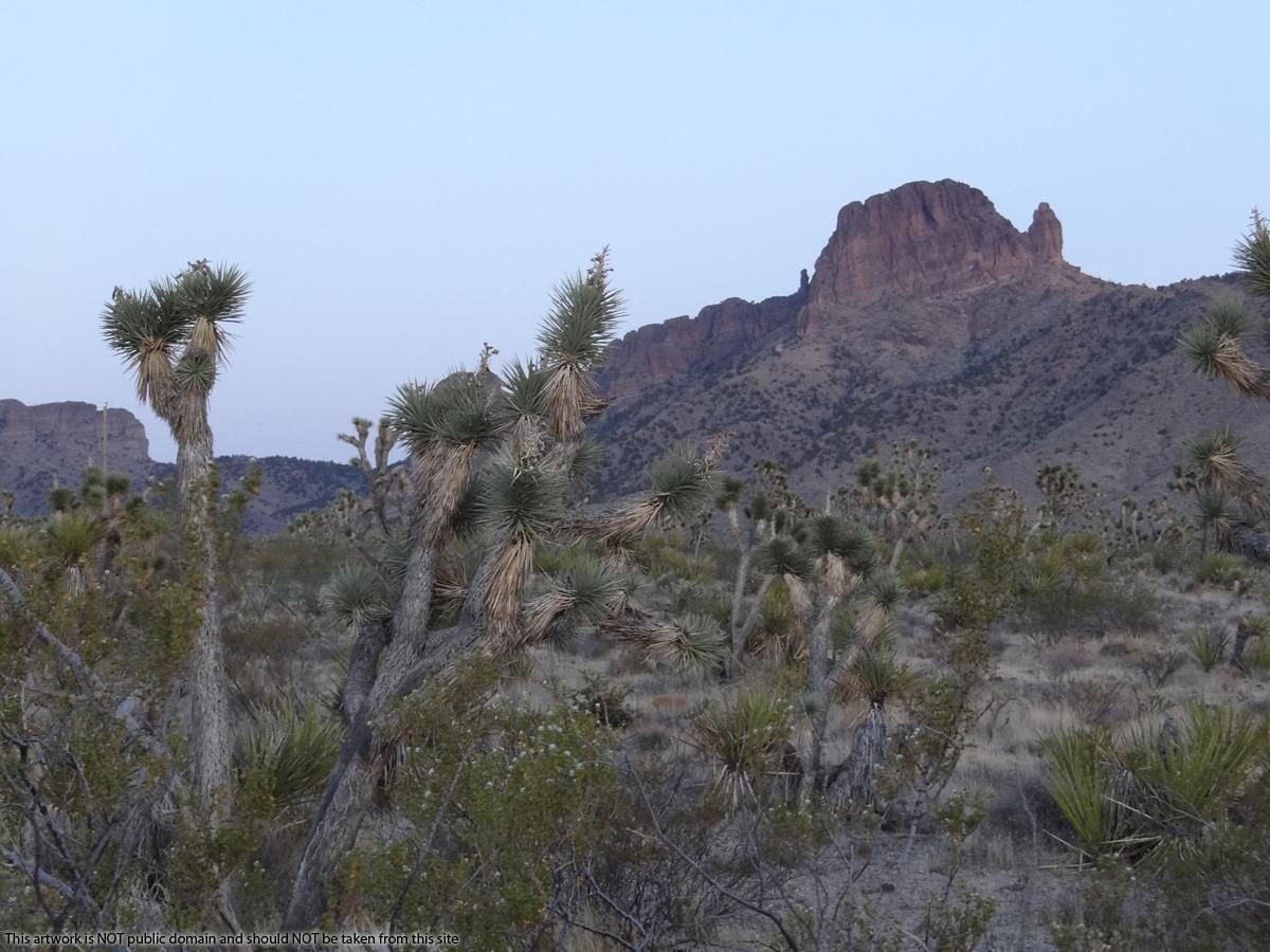 Dolan Springs, Mohave County, AZ Recreational Property, Undeveloped