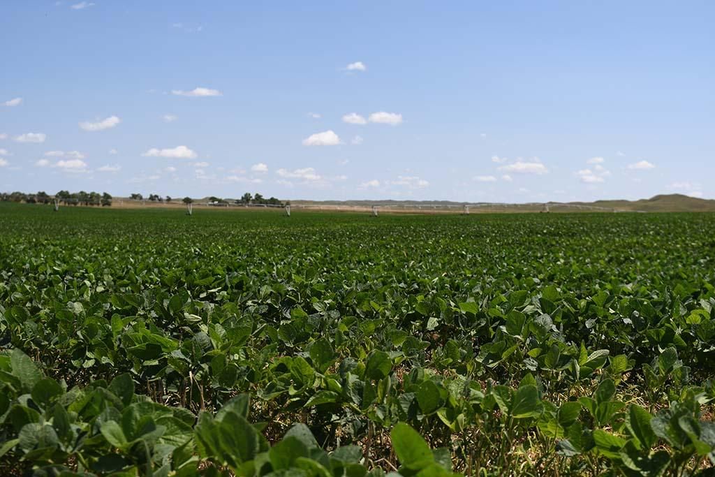 Martin, County, SD Farms and Ranches, Commercial Property, House for sale Property ID