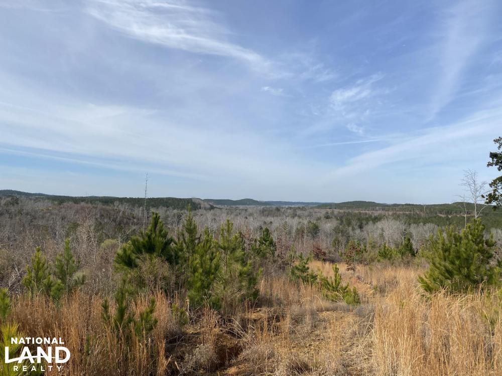 West Blocton, Bibb County, AL Recreational Property, Timberland
