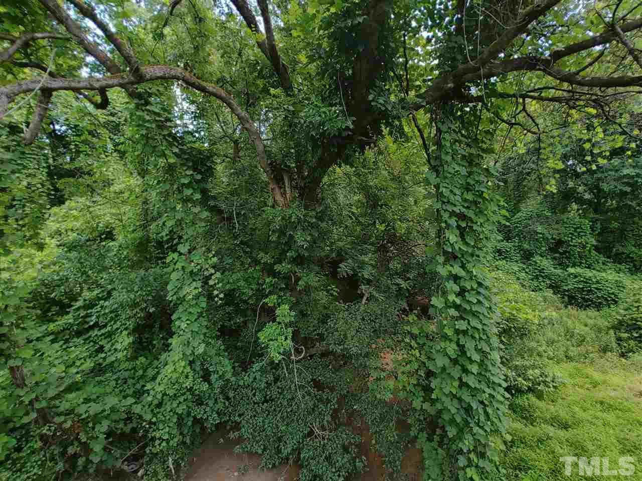 Durham, Durham County, NC Undeveloped Land, Homesites for sale Property ID 411079727 LandWatch
