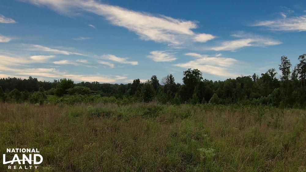 Belews Creek, Forsyth County, NC Recreational Property, Hunting