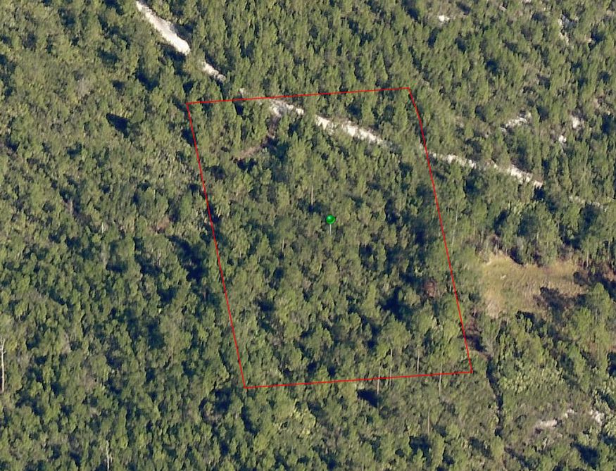 New Smyrna Beach, Volusia County, FL Recreational Property, Undeveloped