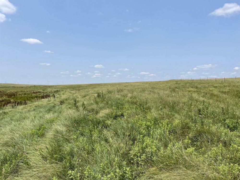Brownell, Ness County, KS Farms and Ranches, Recreational Property