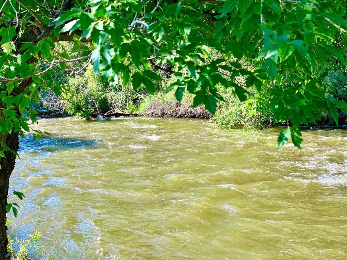 Pecos, San Miguel County, NM Farms and Ranches, Horse Property