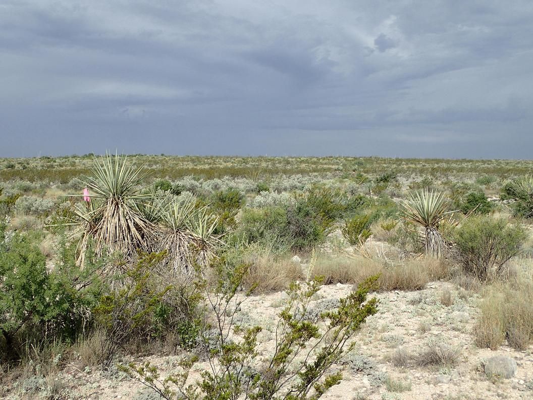 Sanderson, Terrell County, TX Farms and Ranches, Recreational Property