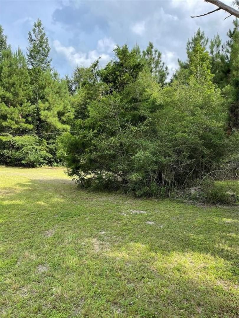 956 County Road 4595, Fred, TX 77616 MLS SLKane LandWatch