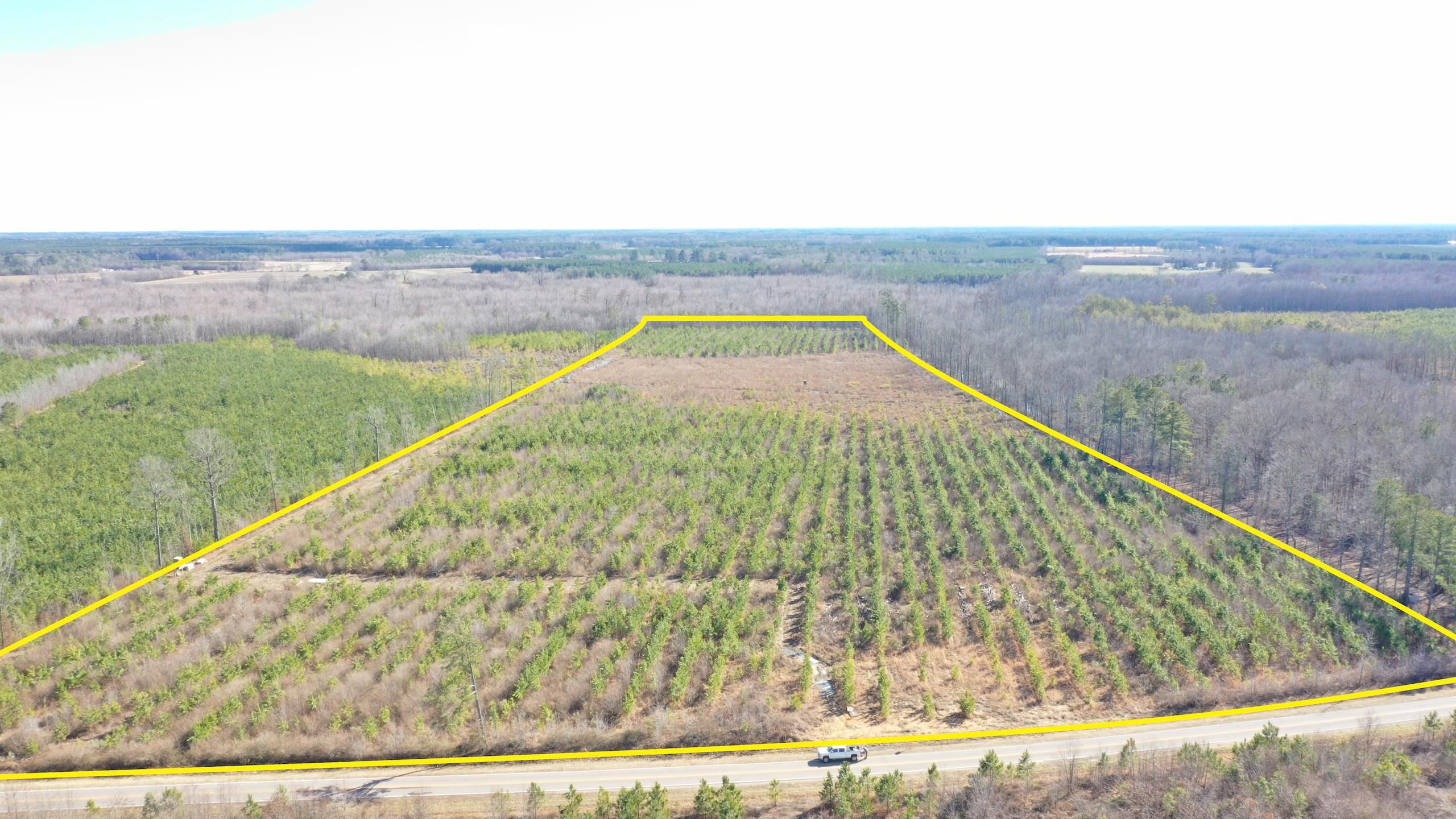 Rich Square, Northampton County, NC Recreational Property, Hunting