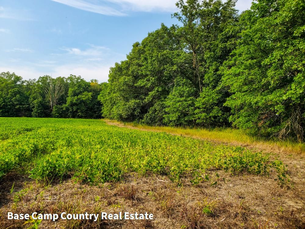 Defiance, Defiance County, OH Recreational Property, Undeveloped Land