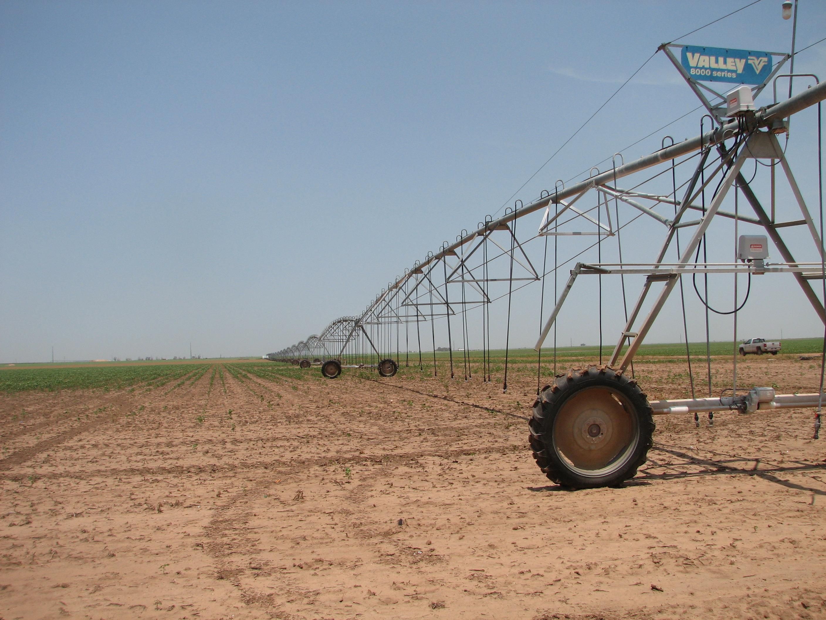 Hart, Castro County, TX Farms and Ranches for sale Property ID