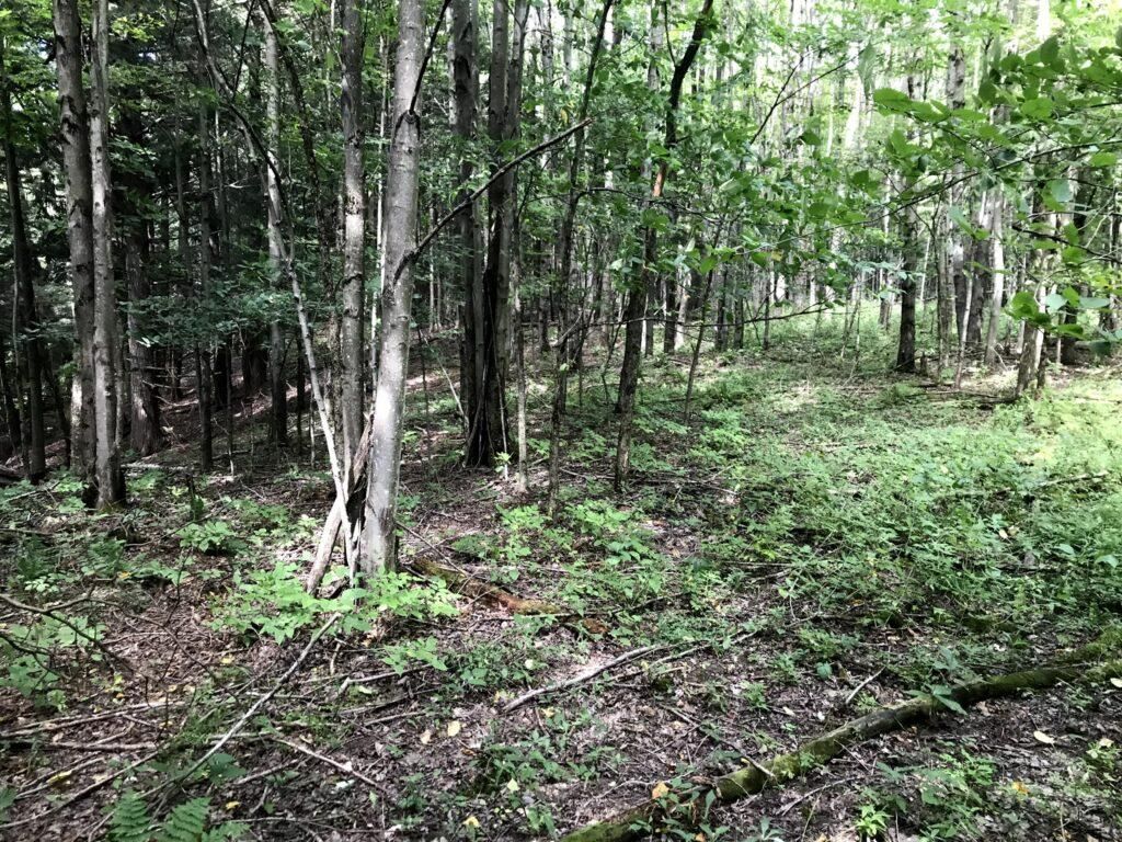 Podunk Spur Road, Lee Center, NY 13363 LandWatch